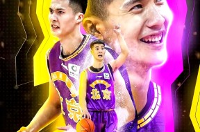 开云-包含辽东战狼队对阵泰山朱雀队，板球小组赛守住胜果，细节决定成败——球迷期待下一战的词条