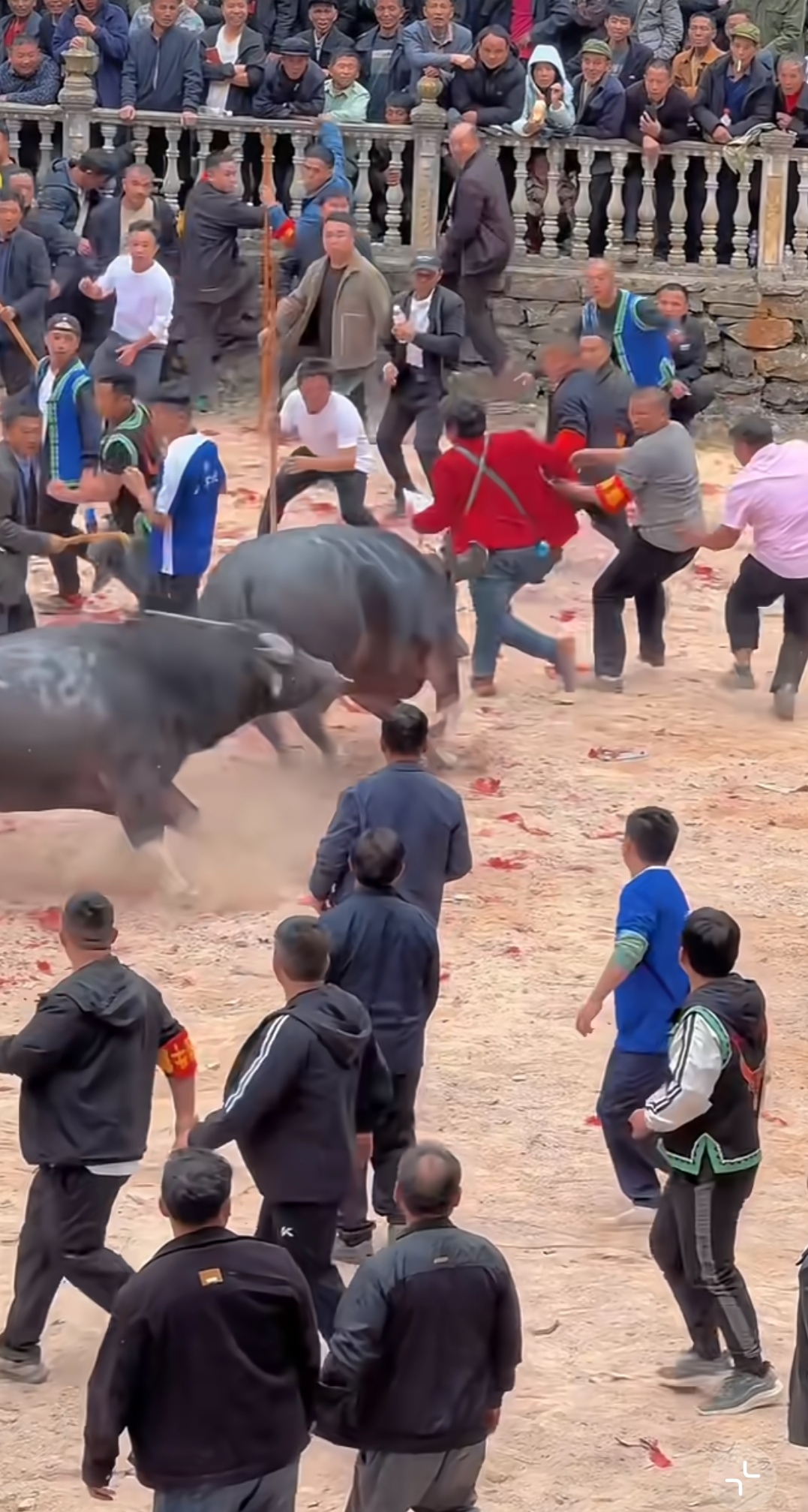 关键时刻突围战来临,芝加哥公牛围绕NBA常规赛回应争议,质疑声仍在,高层口径保持一致的简单介绍 关键时刻突围战来临,芝加哥公牛围绕NBA常规赛回应争议,质疑声仍在,高层口径保持一致的简单介绍